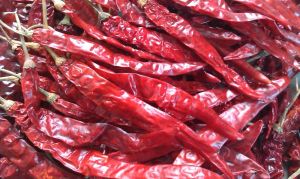 Whole Dried Red Chilli