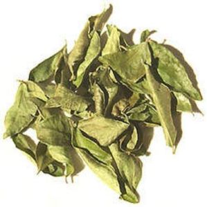 dry curry leaves