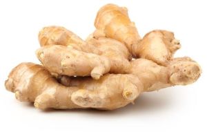 fresh brown ginger