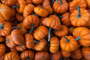 Fresh Brown Pumpkin