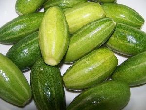 Fresh Green Pointed Gourd