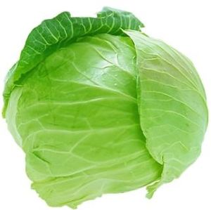 Fresh Organic Cabbage