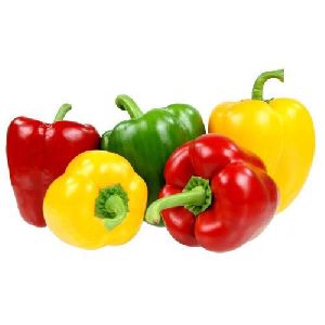 Fresh Organic Capsicum