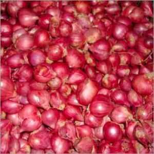 Fresh Small Red Onion