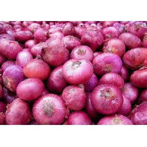 Medium Red Onion