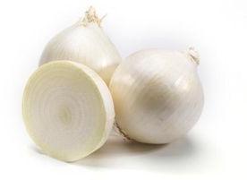 Sweet White Onion