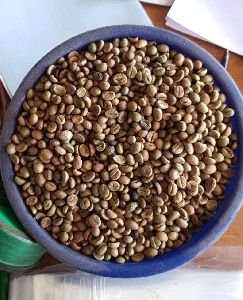 Wayanaad robusta coffee Beans