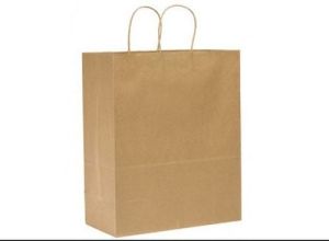 Disposable Paper Carry Bag