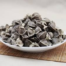 Moringa Seeds