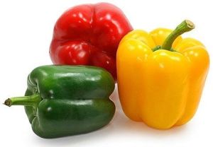 Capsicum