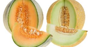 Fresh Muskmelon