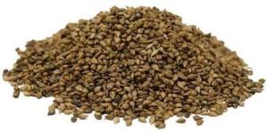 Brown Millet Seeds