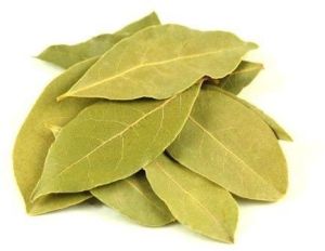 Dried Bay Leaves