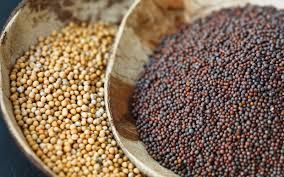 Dried Mustard Seeds