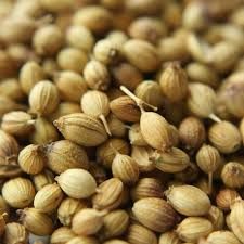 pure coriander seeds