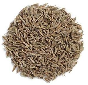 pure cumin seeds