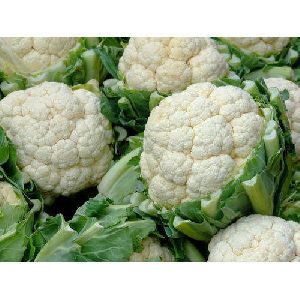 Fresh Cauliflower