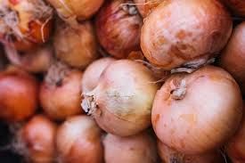 Fresh Organic Onion