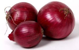 Red Big Onion