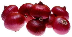 Red Medium Onion