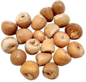 Natural Organic Areca Nuts