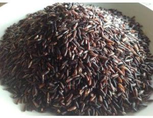 Nutrition Black Rice