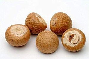 organic areca nuts