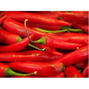 Fresh Red Chilli