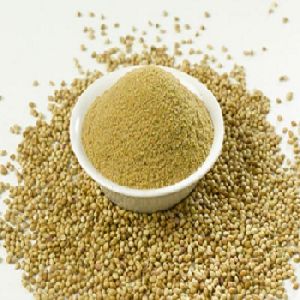 Premium Coriander Powder