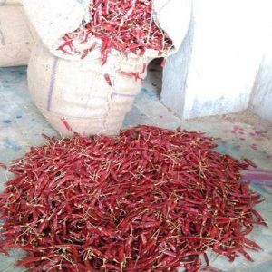 pure red chilli