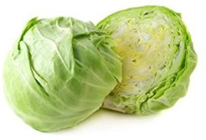 Organic Cabbage