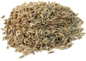 Dried Cumin Seeds