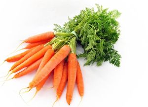 Fresh Carrot