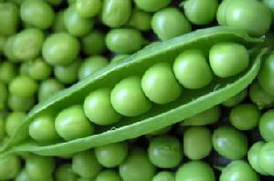 Fresh Green Peas