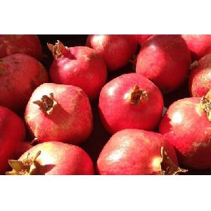 Fresh Red Pomegranate