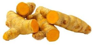 fresh turmeric finger