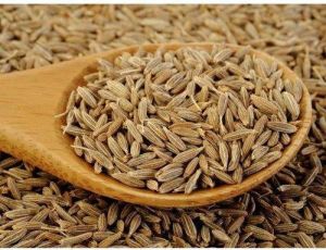 High Quality Cumin Seeds