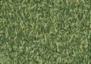 indian fennel seeds