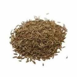 Loose Cumin Seeds