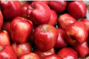 Organic Red Apple