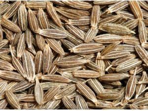 Premium Organic Cumin Seeds