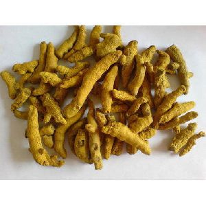 Raw Turmeric Finger