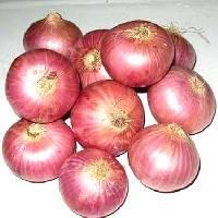 Fresh Onion