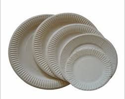 disposable paper plate