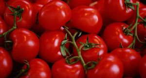 Fresh Red Tomatoes