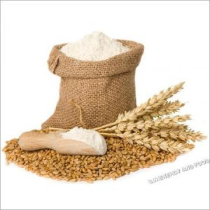 Fresh Wheat Flour