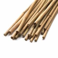 Bamboo Sticks