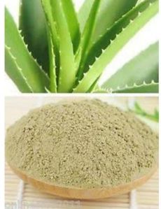 Aloe Vera Leaves Powder