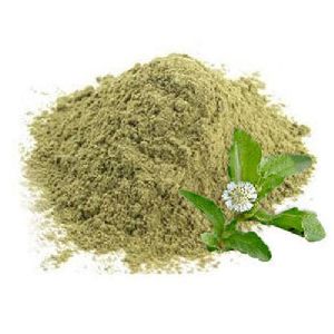 Natural Bhringraj Powder