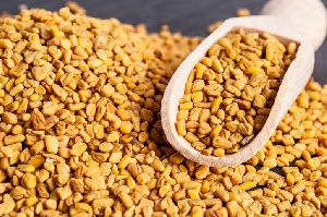 Fenugreek Seed